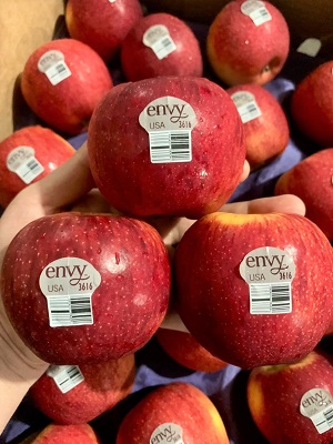 Táo Envy Mỹ size 100